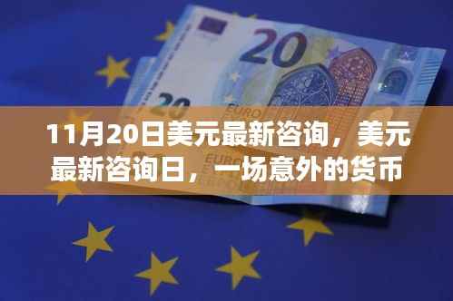 美元最新咨询日,意外货币之旅与友情深化纪事
