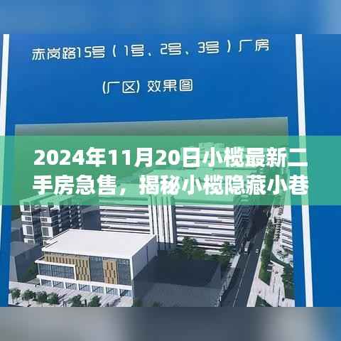 揭秘小榄隐藏小巷,最新二手房急售背后的独特小店故事与揭秘小榄二手房市场急售背后的故事