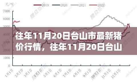 往年11月20日台山市猪价行情深度解析与观点阐述,最新行情分析与解读