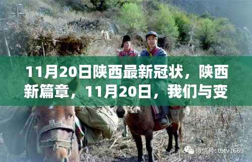 陕西新篇章,学习铸就自信之光,与变化同行迎战最新冠状病毒挑战