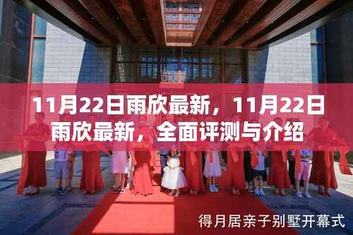 11月22日雨欣最新全面评测与介绍