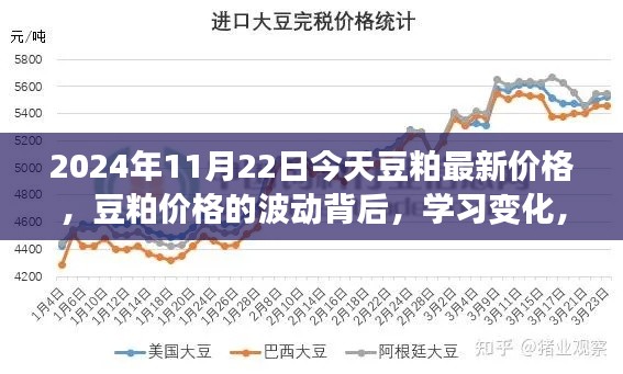 豆粕价格波动背后的故事,学习变化,收获自信与成就感 —— 2024年11月22日豆粕最新价格分析