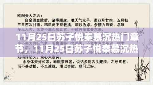 11月25日苏子悦秦慕沉热门章节,深度测评与详细介绍