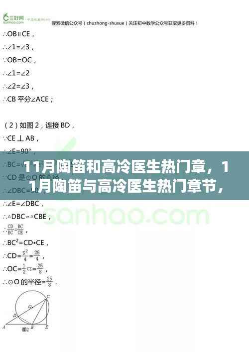 跨界魅力与情感交织,陶笛与高冷医生的热门章节