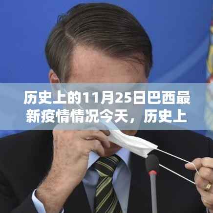 历史上的11月25日巴西最新疫情概况与今日概览