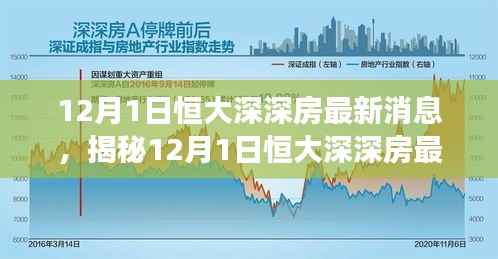 揭秘恒大深深房最新动态与前景展望，深度解析及最新消息速递（12月1日更新）