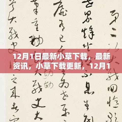 12月1日小草下载最新更新与资讯,全新体验来袭