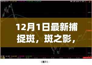 最新捕捉斑事件揭秘,斑之影的深度解析