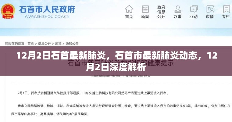 石首市最新肺炎动态解析,12月2日深度报告