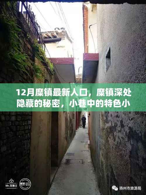 糜镇深处，人口风情与小巷特色小店探秘