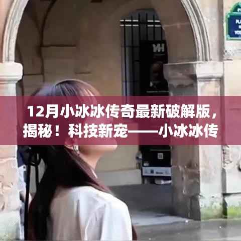 揭秘小冰冰传奇破解版,科技新宠还是违法风险?