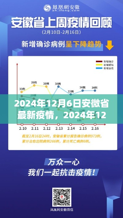 2024年12月6日安微省最新疫情,2024年12月6日安徽省最新疫情观点论述