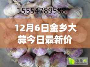 揭秘金乡大蒜市场最新动态,深度观察大蒜价格走势——以金乡大蒜今日最新价格为例(12月6日)