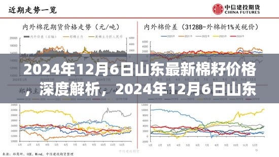 2024年12月6日山东棉籽价格深度解析,最新市场动态与表现