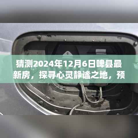 探寻心灵静谧之地，预测中的啤县美景之旅（最新房源揭秘）