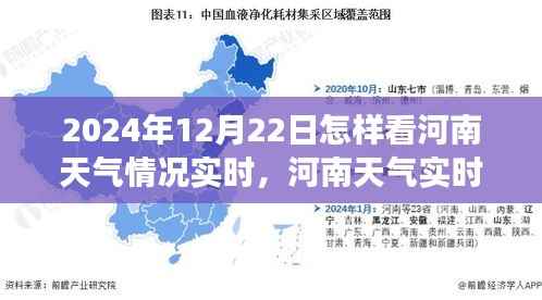 河南冬至气象洞察,2024年12月22日实时天气分析与洞察