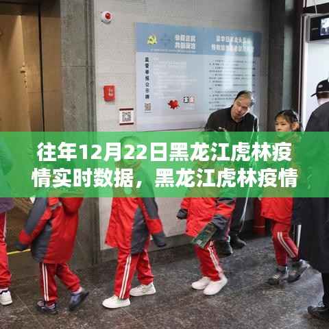 黑龙江虎林疫情回顾,往年12月22日实时数据与影响分析