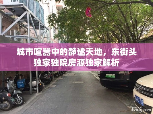 城市喧嚣中的静谧天地,东街头独家独院房源独家解析