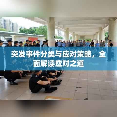 突发事件分类与应对策略,全面解读应对之道