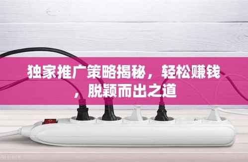独家推广策略揭秘,轻松赚钱,脱颖而出之道