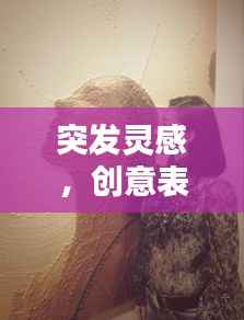 突发灵感,创意表达的瞬间艺术