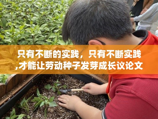只有不断的实践,只有不断实践,才能让劳动种子发芽成长议论文