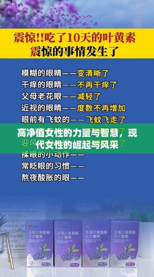 高净值女性的力量与智慧,现代女性的崛起与风采
