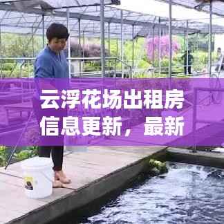 云浮花场出租房信息更新，最新动态一网打尽