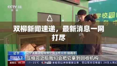 双柳新闻速递,最新消息一网打尽