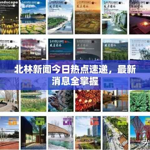 北林新闻今日热点速递,最新消息全掌握