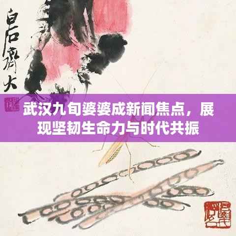 武汉九旬婆婆成新闻焦点,展现坚韧生命力与时代共振