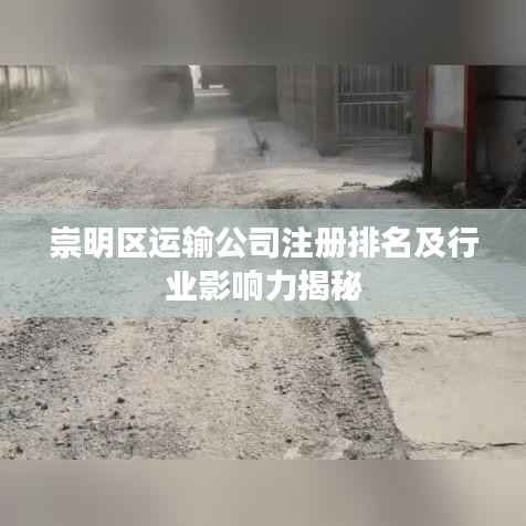 崇明区运输公司注册排名及行业影响力揭秘