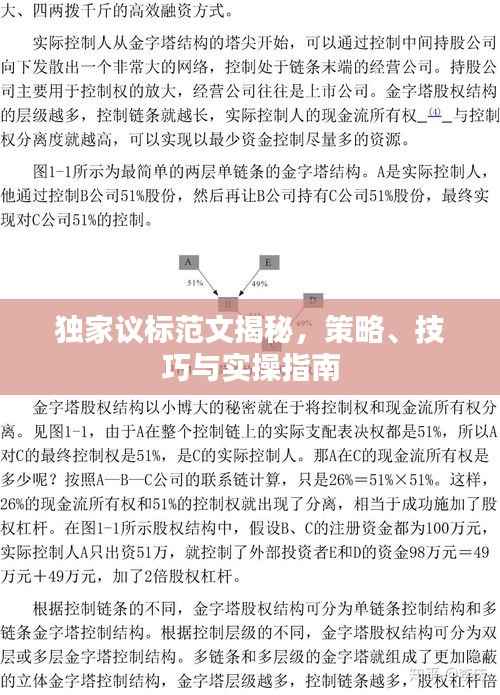 独家议标范文揭秘,策略、技巧与实操指南