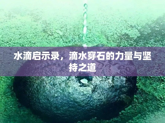 水滴启示录,滴水穿石的力量与坚持之道