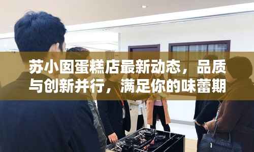 苏小囡蛋糕店最新动态,品质与创新并行,满足你的味蕾期待!