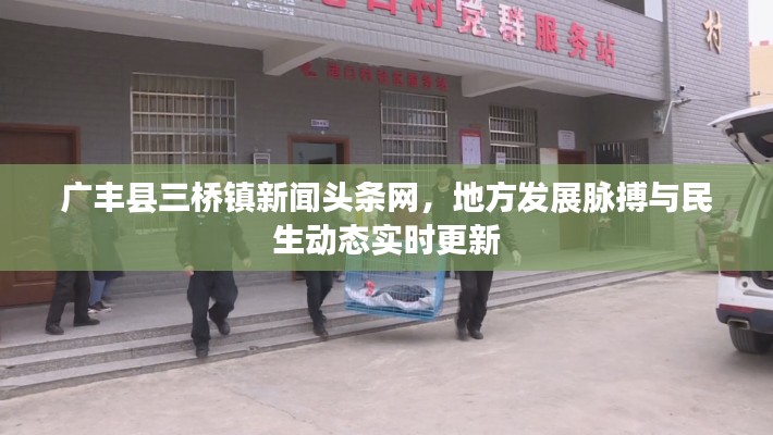 广丰县三桥镇新闻头条网,地方发展脉搏与民生动态实时更新