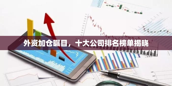 外资加仓瞩目,十大公司排名榜单揭晓