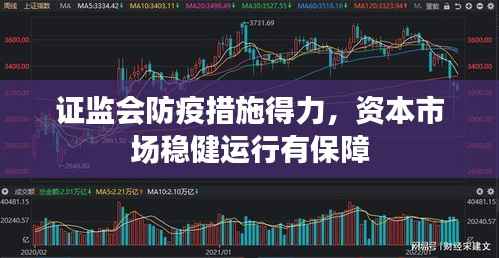 证监会防疫措施得力,资本市场稳健运行有保障