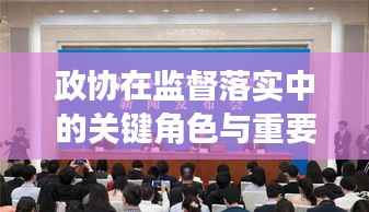 政协在监督落实中的关键角色与重要作用