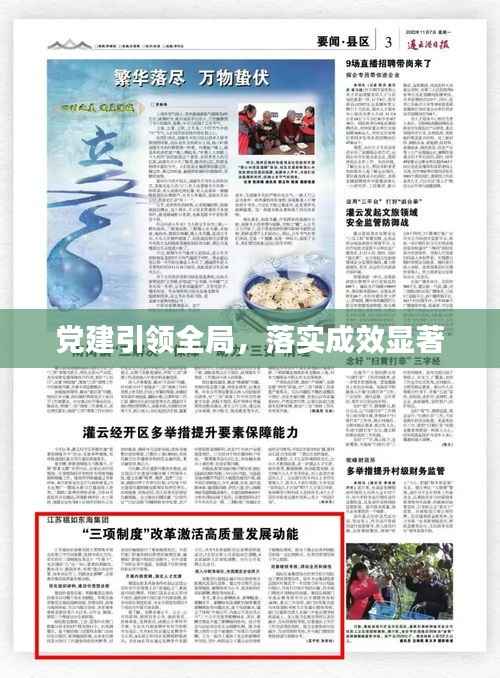 党建引领全局,落实成效显著