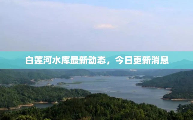 白莲河水库最新动态,今日更新消息