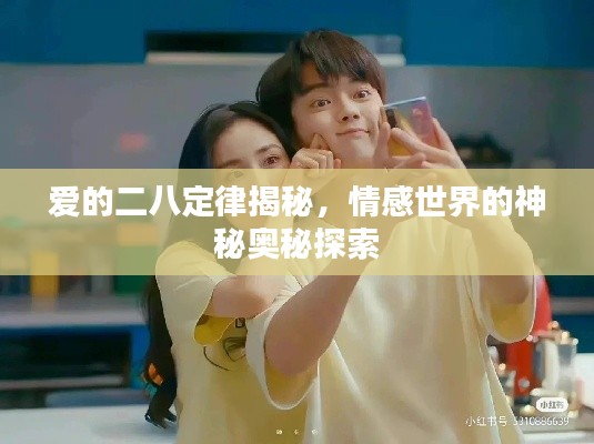 爱的二八定律揭秘,情感世界的神秘奥秘探索