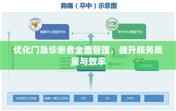 优化门急诊患者全面管理,提升服务质量与效率