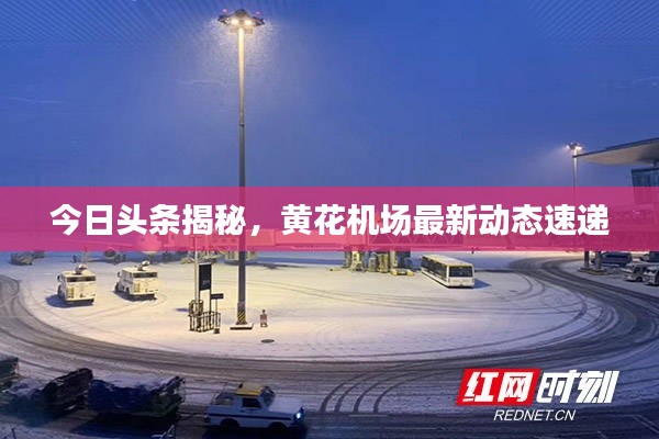 buweiquangui 第6页