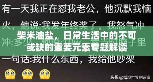 柴米油盐,日常生活中的不可或缺的重要元素专题解读