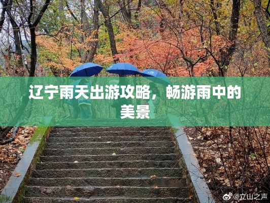 辽宁雨天出游攻略,畅游雨中的美景