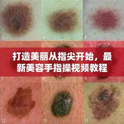 打造美丽从指尖开始，最新美容手指操视频教程在线观看
