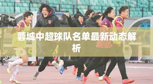 蓉城中超球队名单最新动态解析