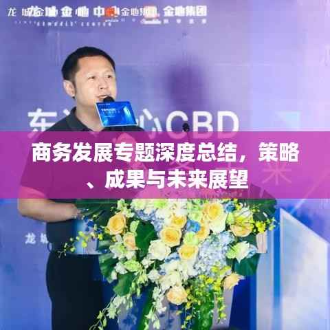 商务发展专题深度总结,策略、成果与未来展望