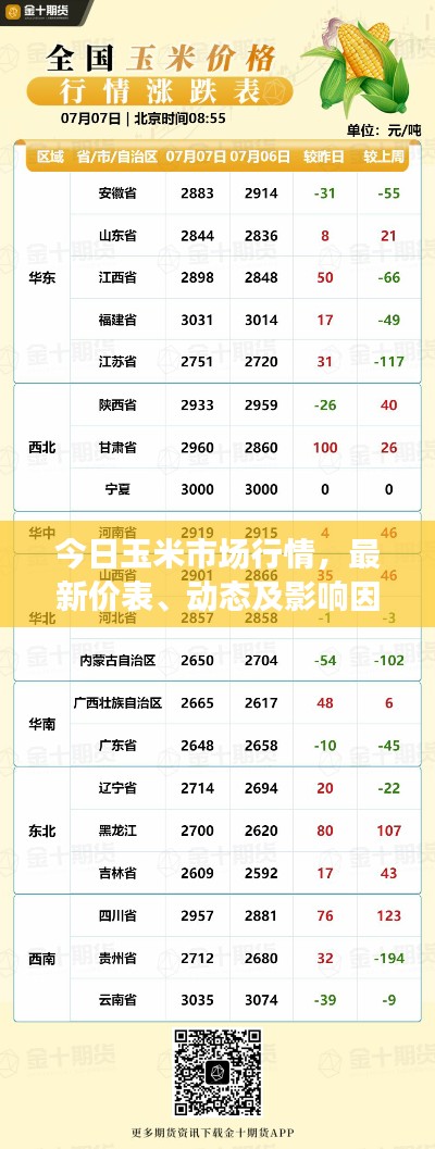 今日玉米市场行情,最新价表、动态及影响因素全解析